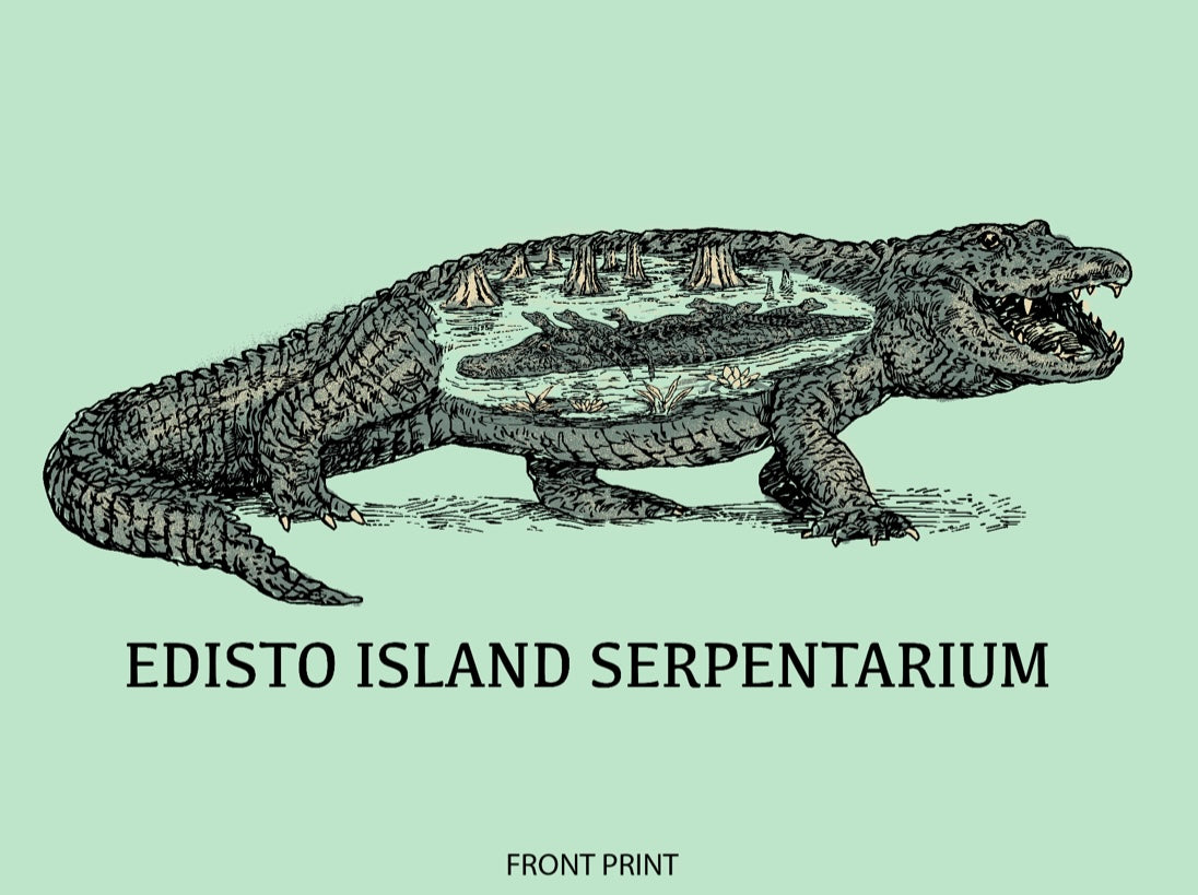 Alligator
