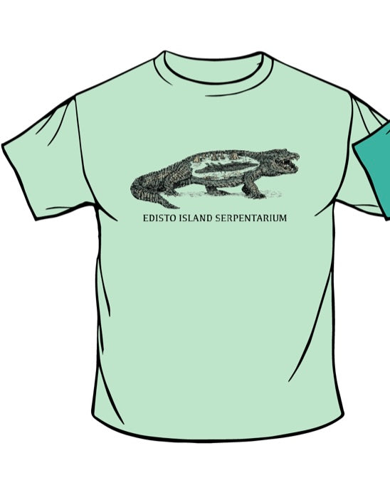 Alligator