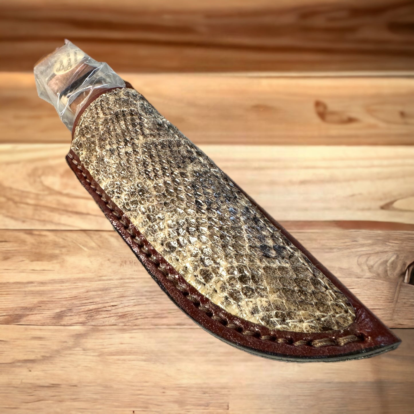 Reptile collector 3002