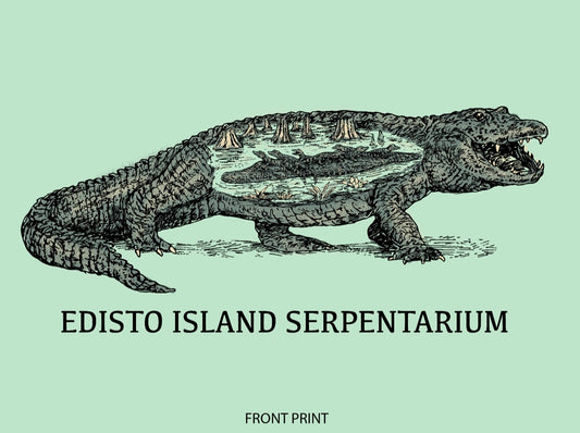 Alligator